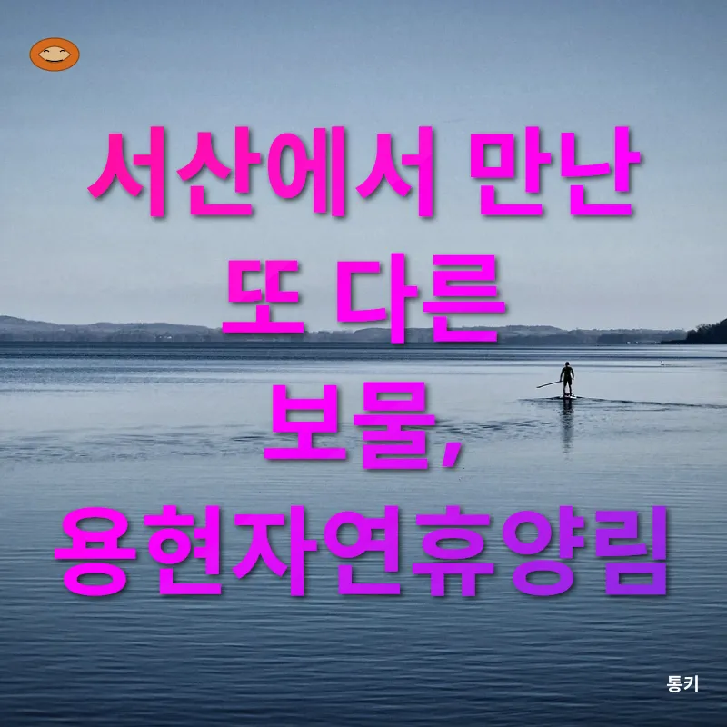 휴양림 예약의 행운_3