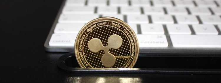 xrp 전망