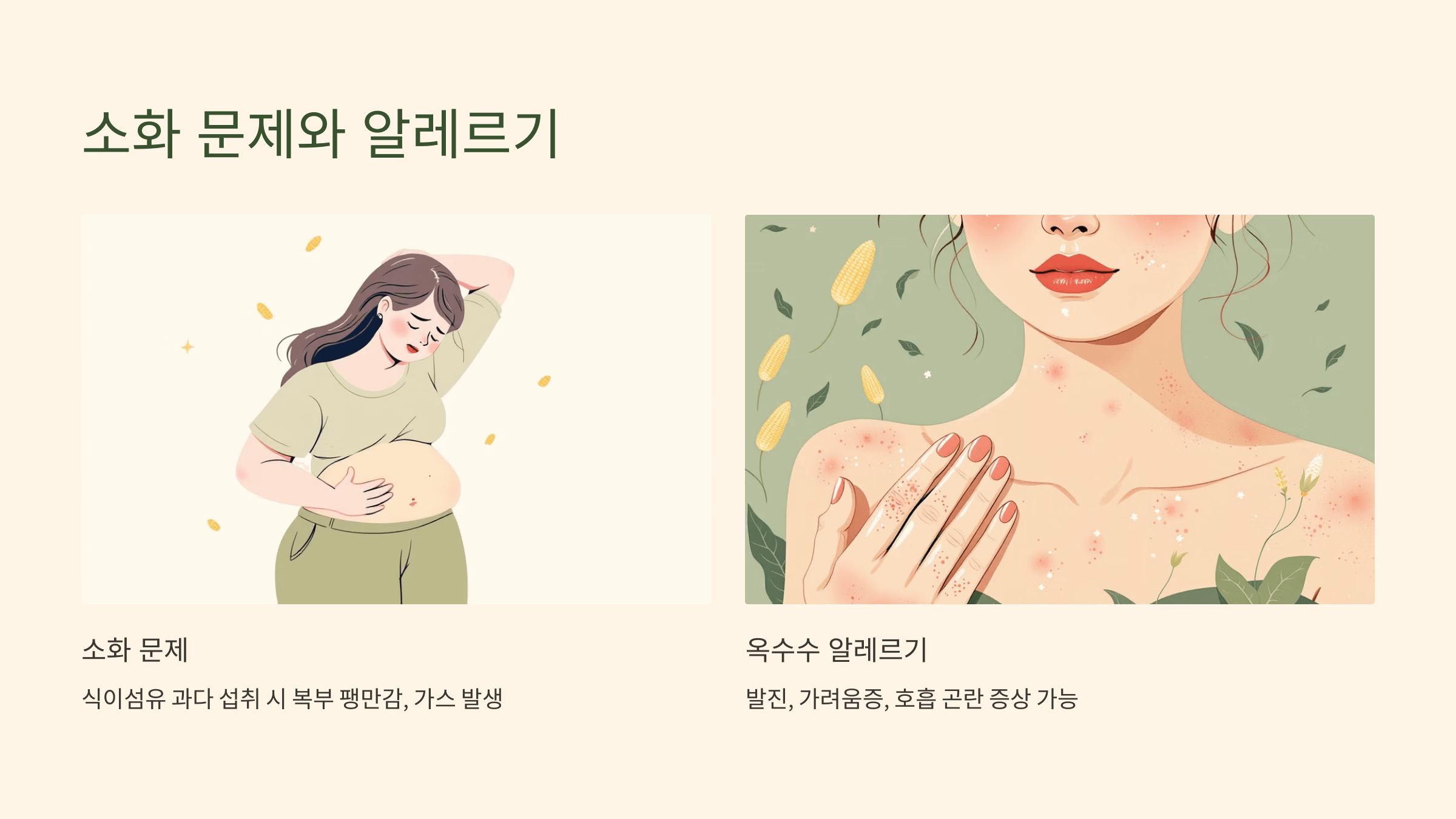 옥수수 사진입니다.