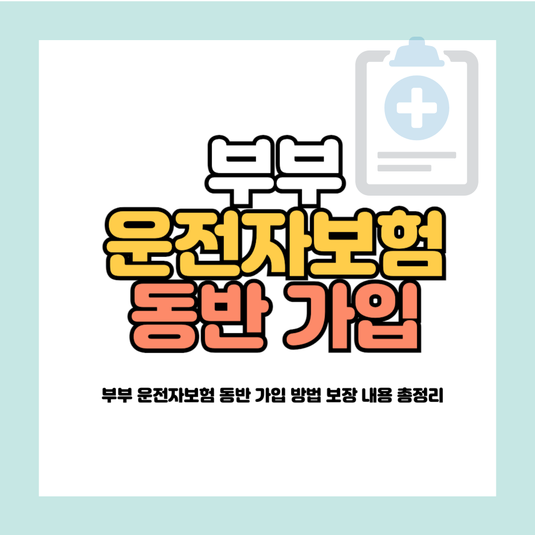 부부 운전자보험