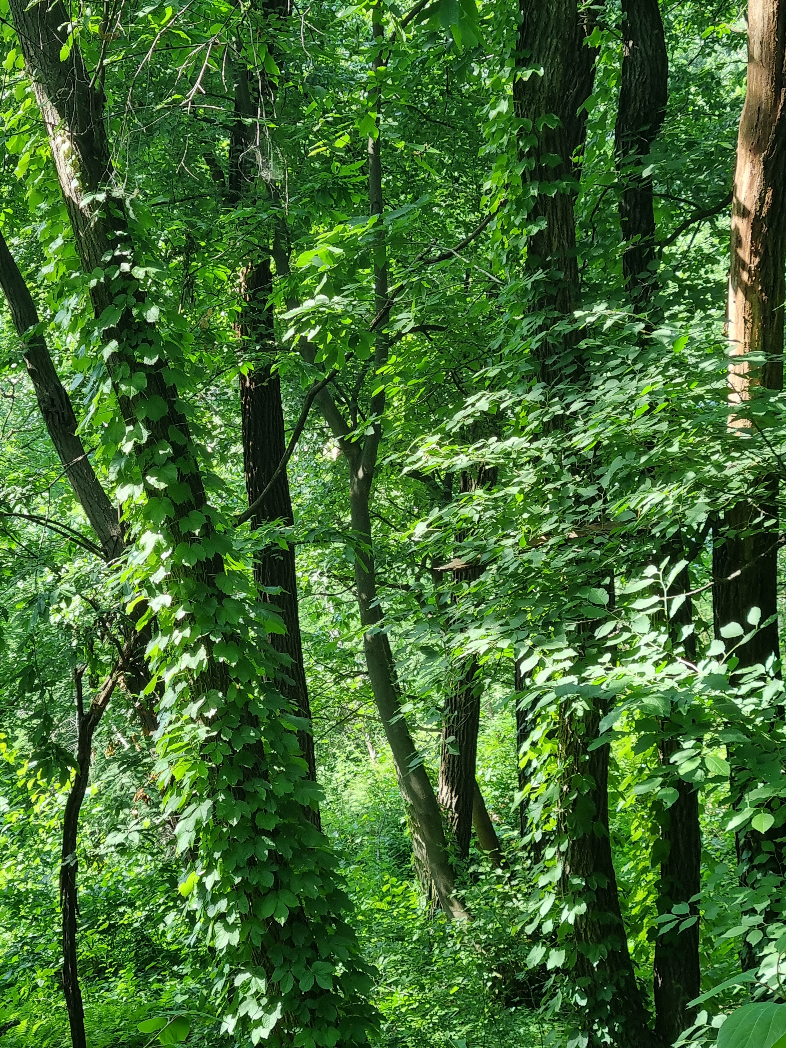 부천 가볼만한 곳 자연생태공원