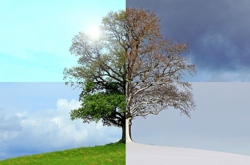 봄부터 겨울까지, 계절 따라 바꾸는 건강 비결