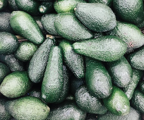 신장에 좋은 음식