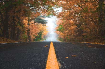 여권 사진 규격 안내