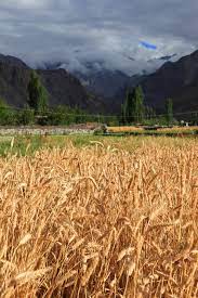 2023년 경기도 광주시 농민기본소득 지원사업 추가(3차) 신청대상과 신청방법