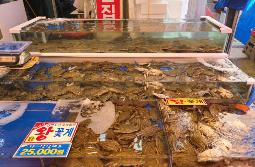 백사장항