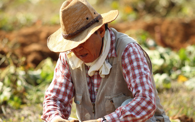 농어민 공익수당 관련 사진