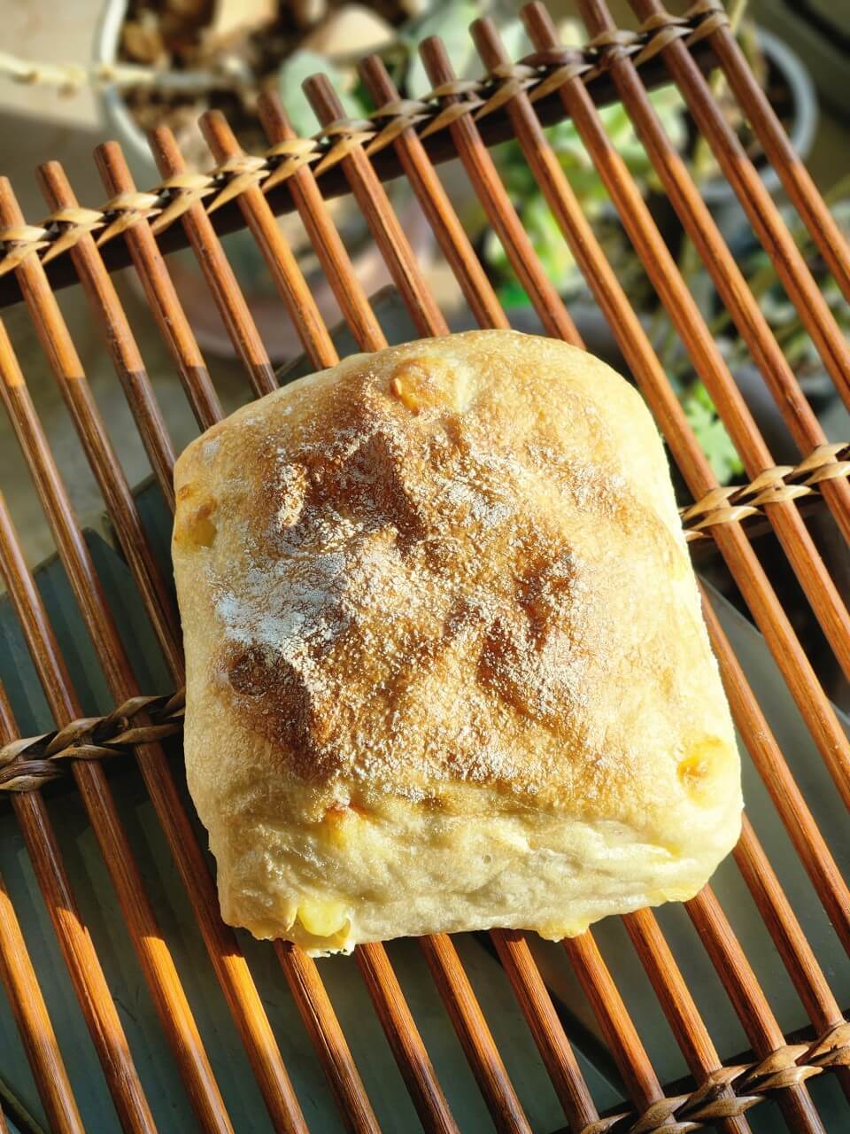 생방송오늘저녁 전남 장흥 빵집 농부네 빵집 빵 사진 모음