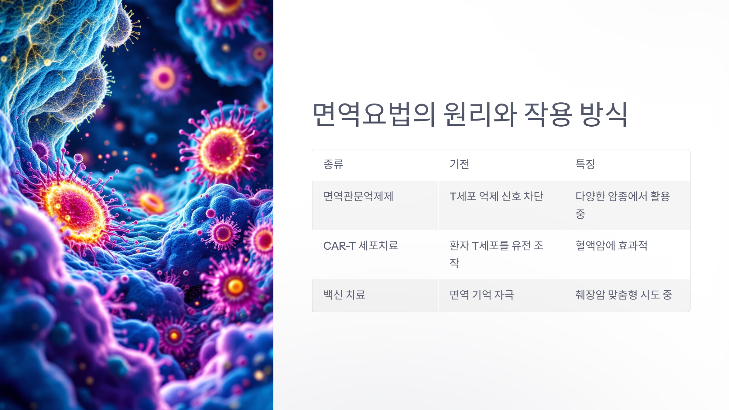 면역요법의 원리와 작용 방식