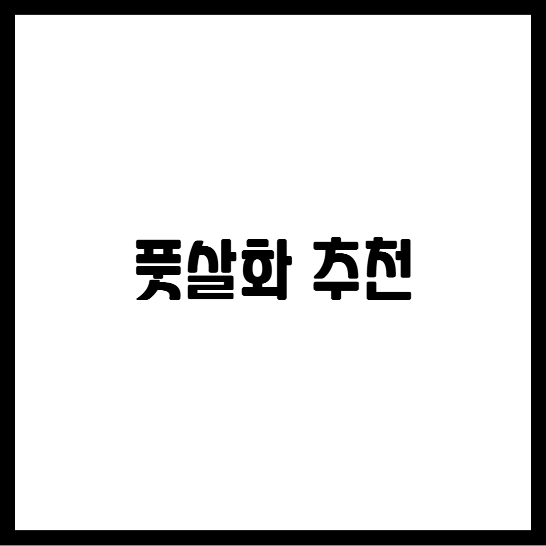 풋살화 추천