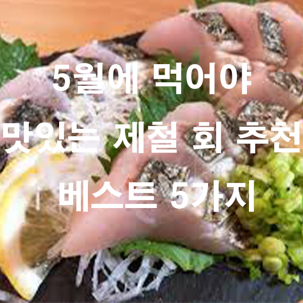 5월에 먹어야 맛있는 제철 회 추천 베스트 5가지