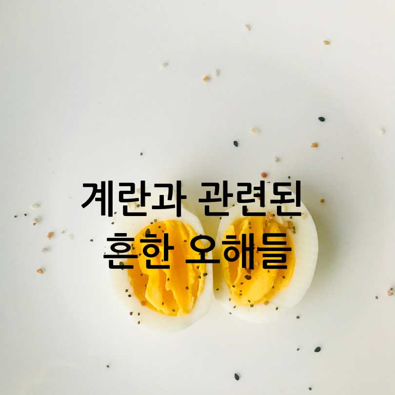 계란에 찍힌 번호&amp;#44; 계란 숫자 표시의 의미