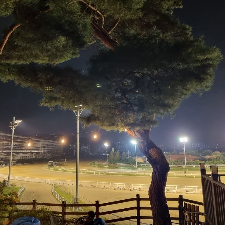 렛츠런파크서울_밤마실페스티벌_후기