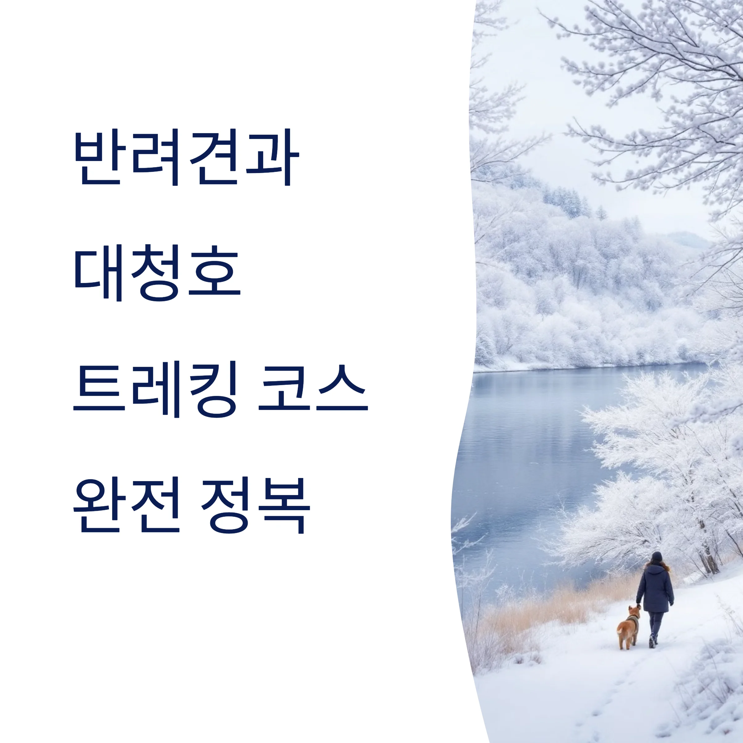 겨울 대청호 트레킹 코스