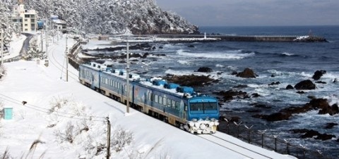 2026 눈꽃열차 추천 코스｜강원&middot;경북&middot;설경 명소별 예매 팁 관련 사진