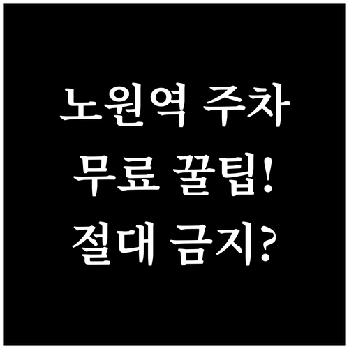 노원역 저렴한 주차장 추천 및 롯데백..