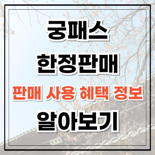 궁패스
