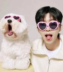 2026 임영웅 시즌그리팅 달력 예약 이벤트 가이드