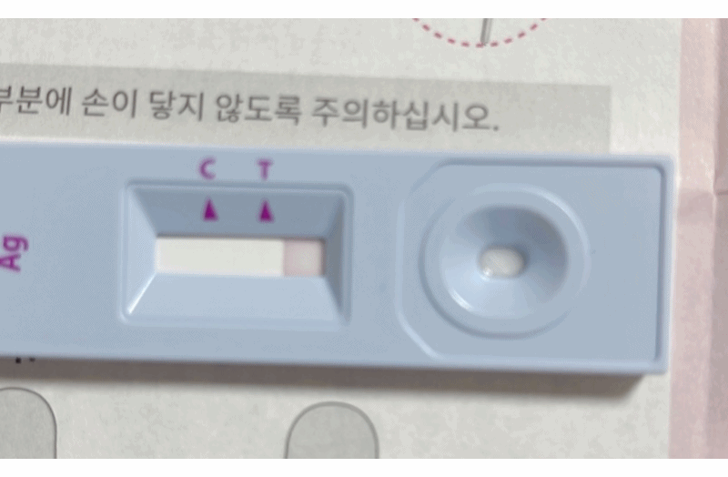 신속항원검사-자가 검사 키트 구매및 검사 리뷰
