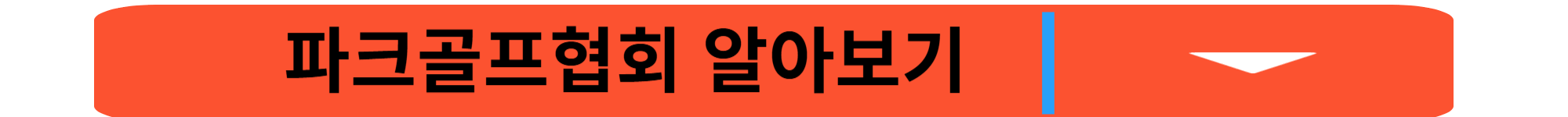 파크골프 용품 총정리! 꼭 필요한 장비부터 선택 아이템까지