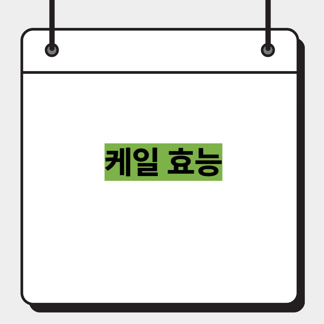 케일 효능