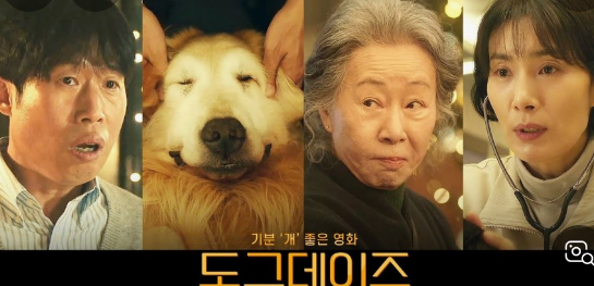 2024년 추석특선영화 편성표