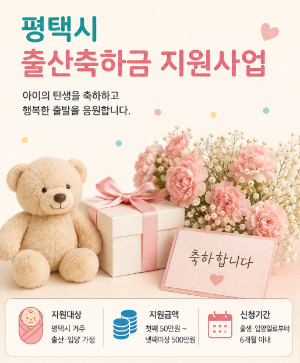 평택시 출산축하금 신청방법, 정부24로 직접 신청해본 후기