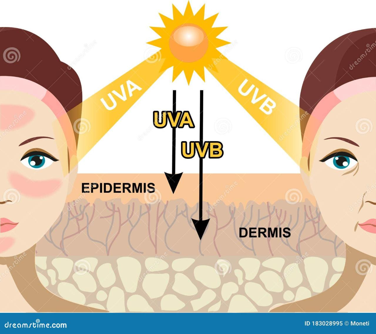 자외선 차단제 원리 자외선 A, B 차단 방법과 기능 설명: SPF, PA, 화학적/물리적 차단, 피부 타입별 선택 가이드까지! 햇빛으로부터 피부를 지켜줄 완벽 가이드!