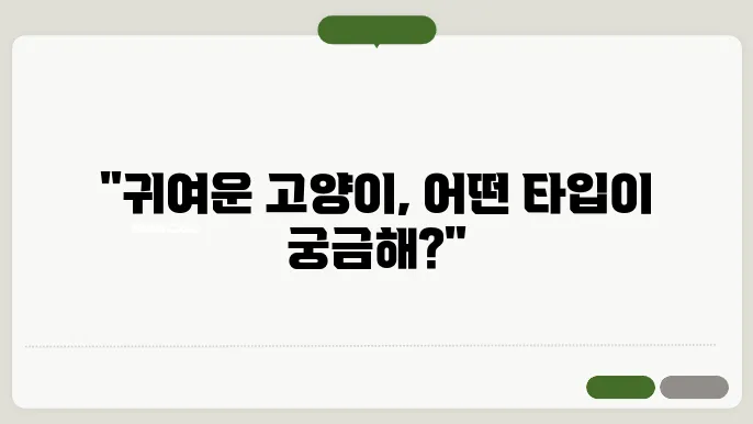 페르시안 고양이