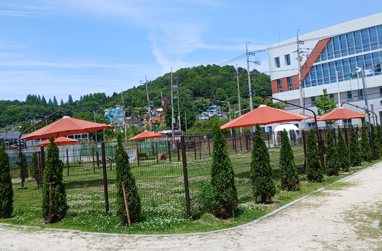 반려동물놀이터