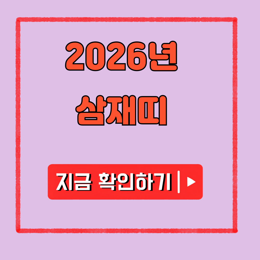 2026년 삼재띠