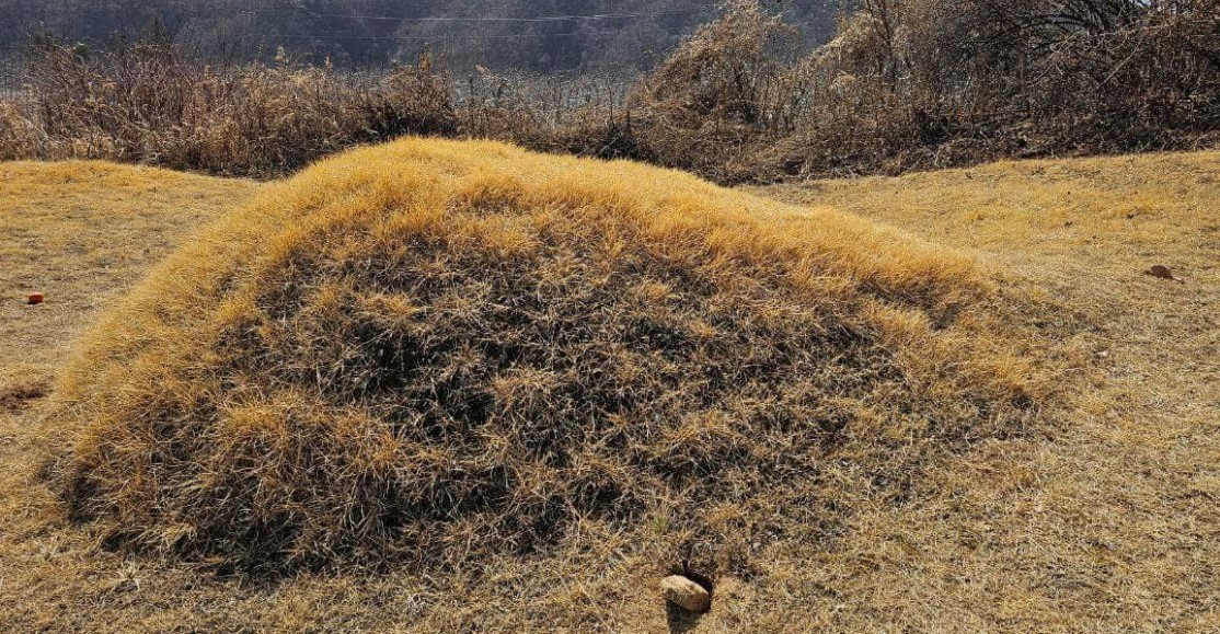 이재명묘소훼손