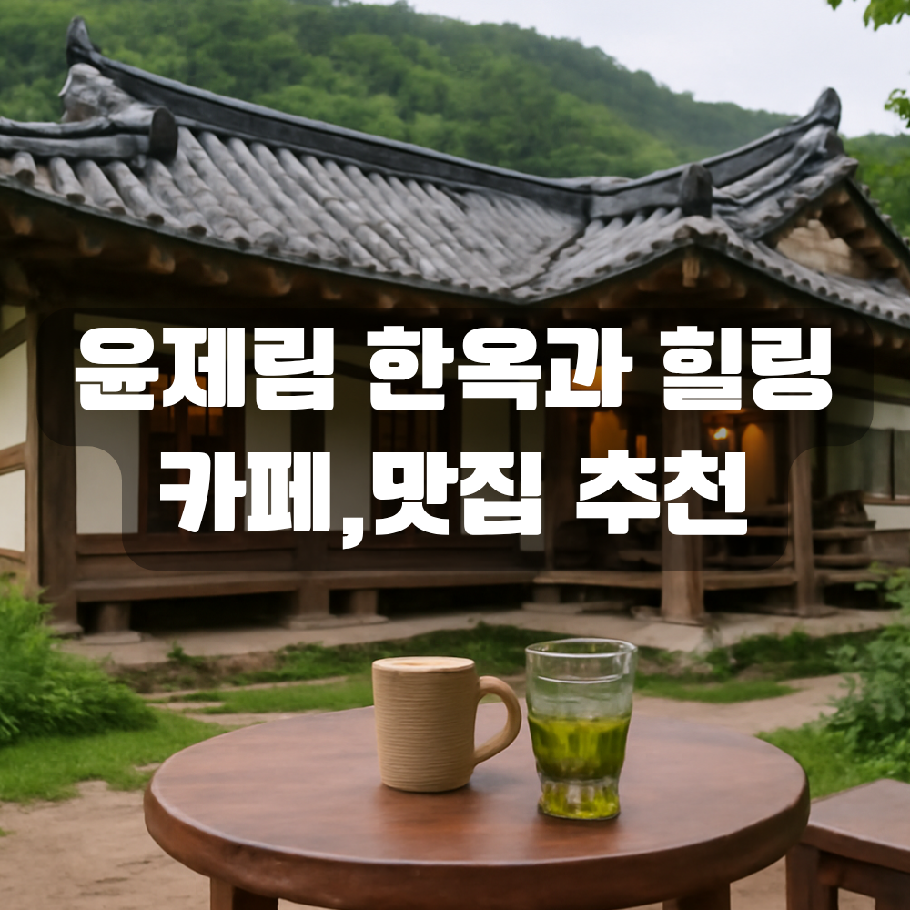 보성 윤제림 감성 한옥과 힐링 카페,맛집 추천