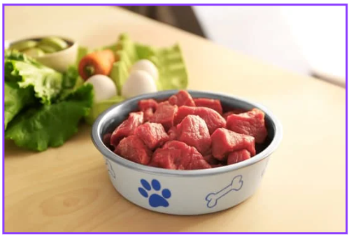 반려동물 건강식 필수 건강식 7가지