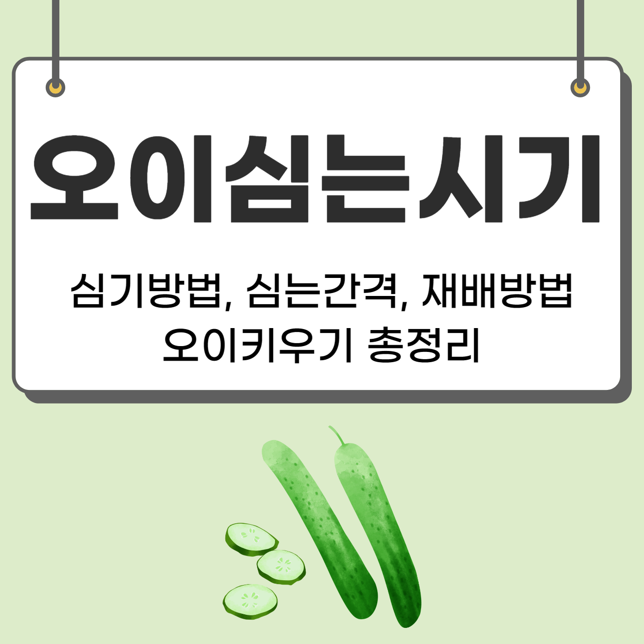 오이모종 심는시기(파종시기&#44; 오이심기방법&#44; 오이심는간격&#44; 오이재배방법) 오이키우기 총정리!