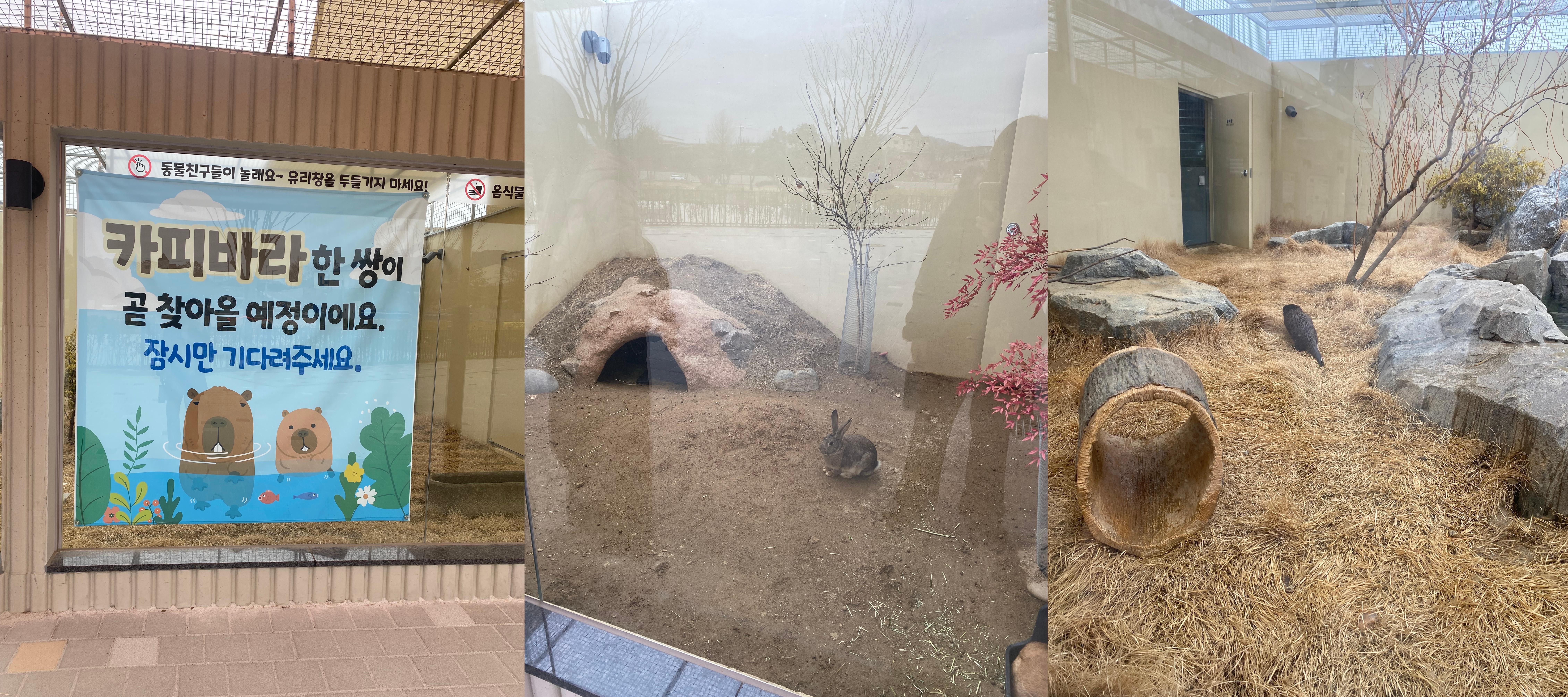 충주 아쿠아리움 야외 동물원