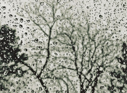 비꿈 상황별 해몽