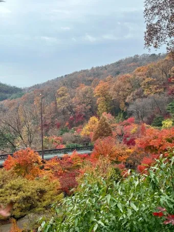 화담숲 입장료 할인 받는 법부터 예매 꿀팁까지는 총정리_17