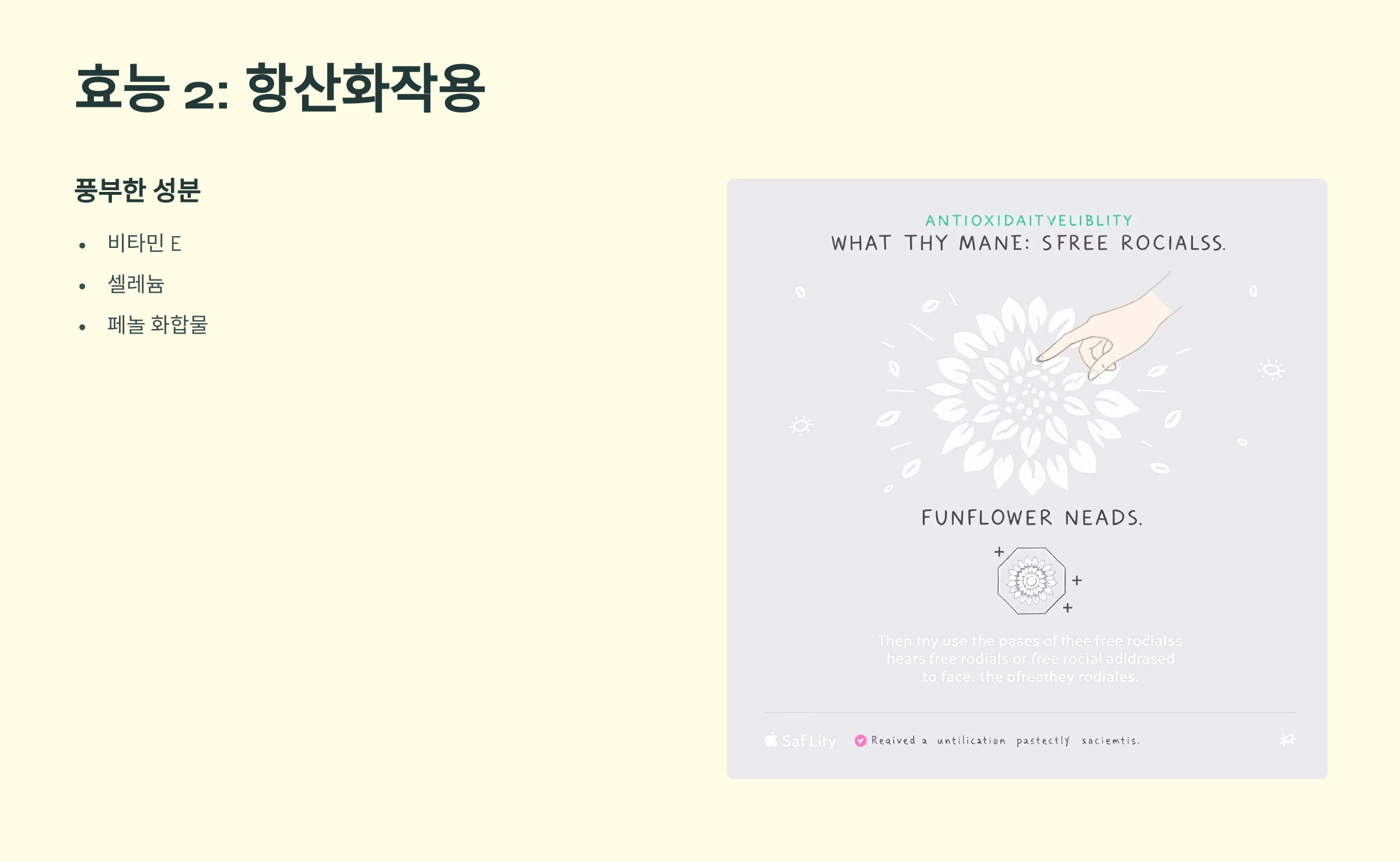 해바라기씨 사진입니다.