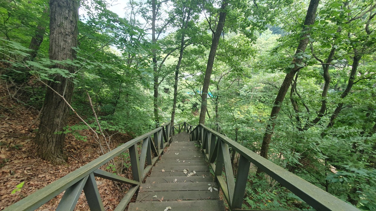 청평자연휴양림