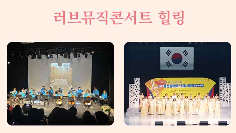 울산대공원 장미축제