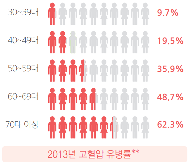 2013년 고혈압 유병률