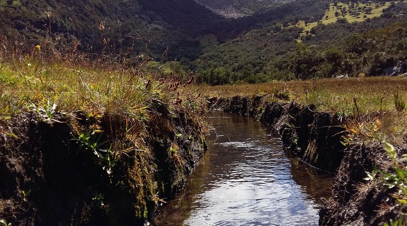 차단기 선택 기준
