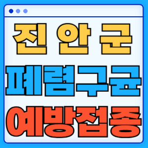 전라북도 진안군 폐렴구균 백신 무료 예방접종 비용지원 가격 신청방법 대상자 간격 13가 15가 20가 23가