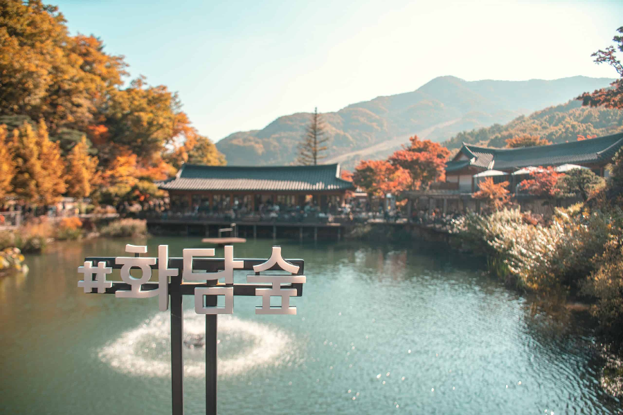 화담숲 예약 &amp; 방문 가이드 ❘ 봄 벚꽃부터 가을 단풍까지 완벽 정리