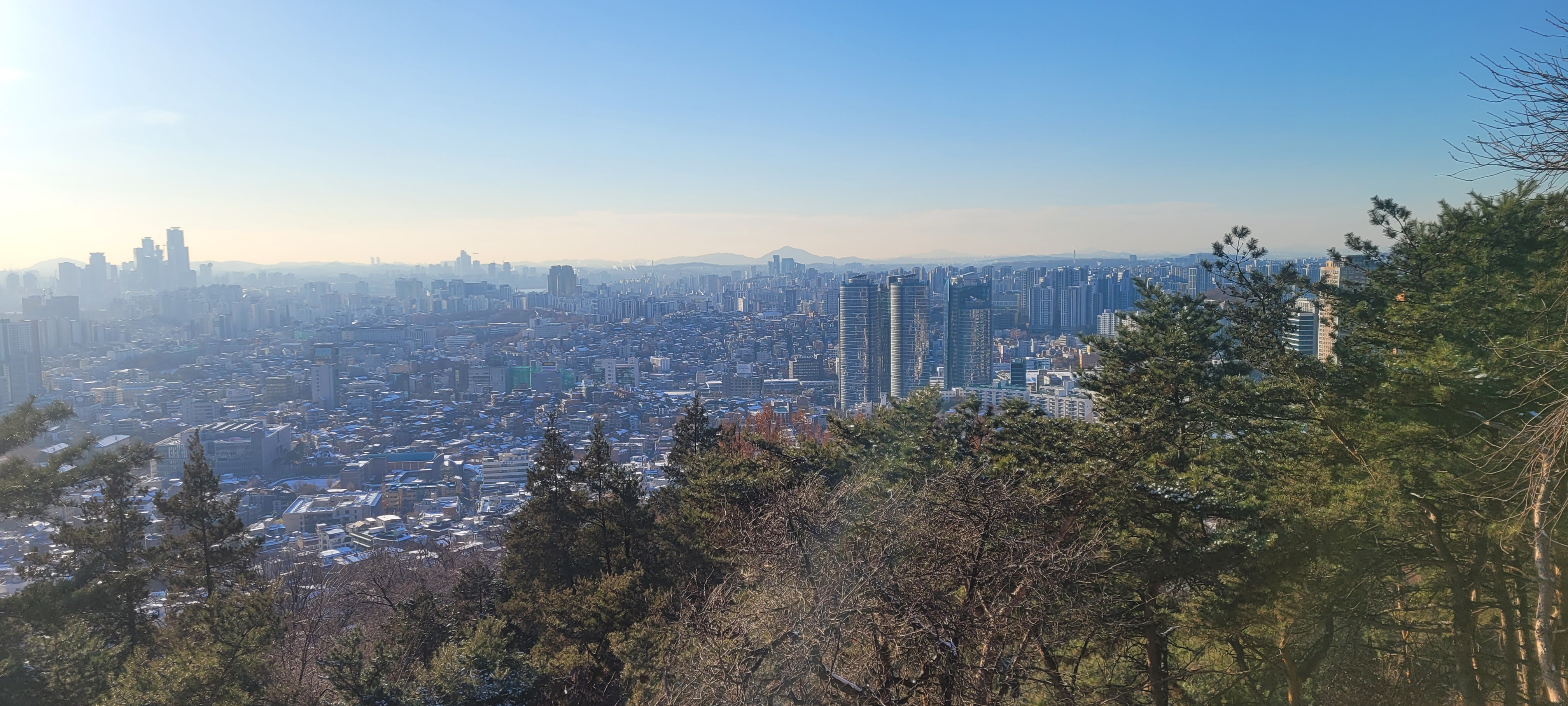 ▲ 남산 하늘숲길