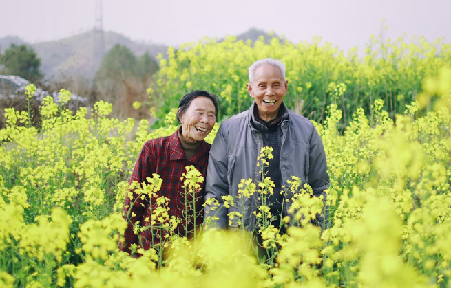 서울 시니어 일자리 지원센터 활용 꿀팁 및 실질적인 혜택4