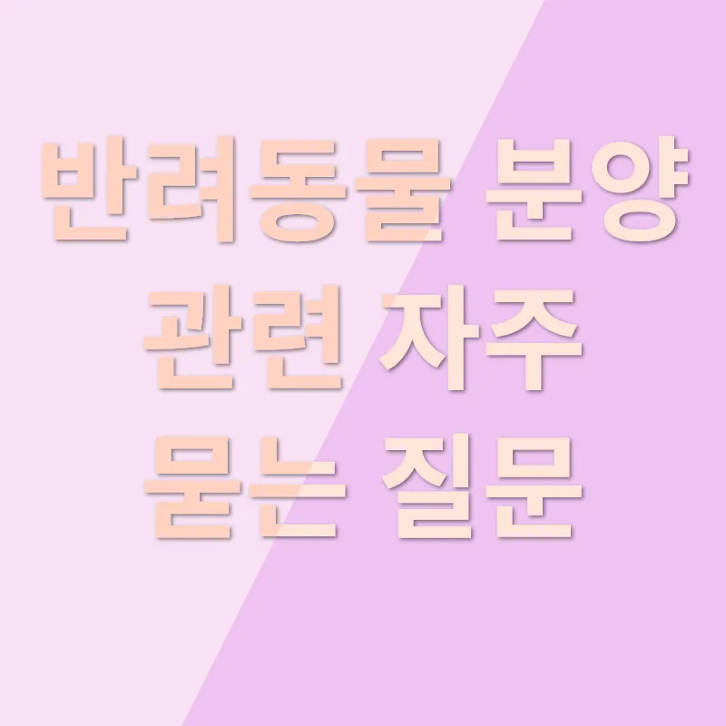 반려동물 분양_4