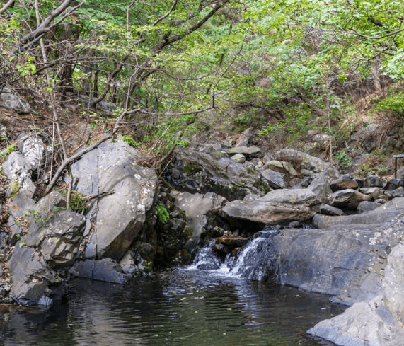 보령-명대골계곡