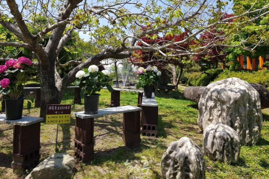 특색 있고 아름다운 민간 정원 30선 추천 여행 - 18. 순천 화가의 정원산책